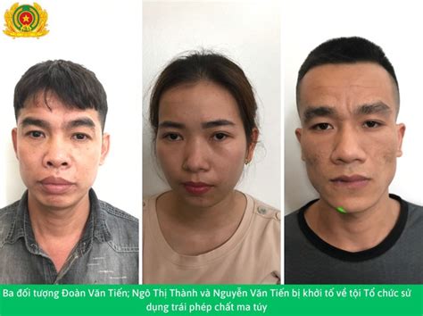 khoi  nhom doi tuong mo tiec ma tuy trong nha nghi