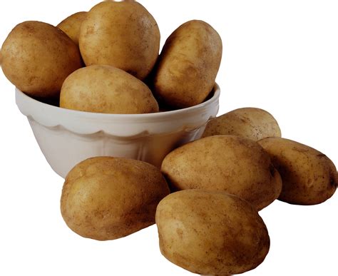 Картошка PNG