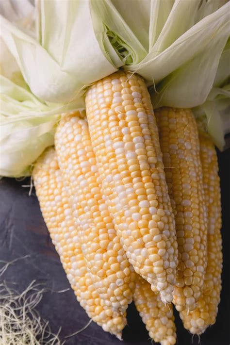 Sweet Corn 101 - Busy Cooks