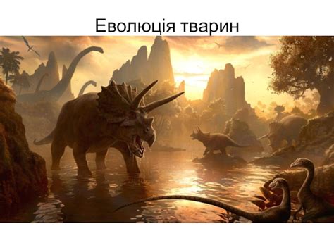 Еволюція тварин презентация, доклад