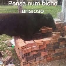 Pense Num Bicho Ansioso