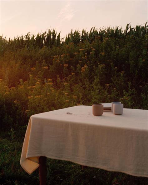 aio americano cup tybo