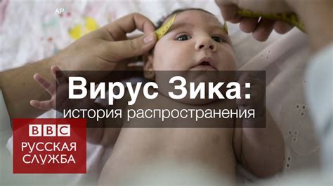 Вирус Зика: история распространения - YouTube