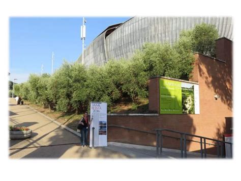 Rockstar selfies | PPT