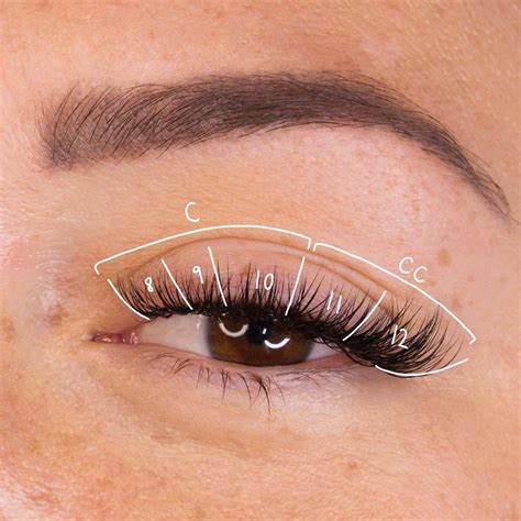 cat eye lash map classic lashes artofit