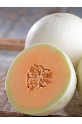 Honeydew Melon - Sweet Heirloom Varieties | Redemption Seeds