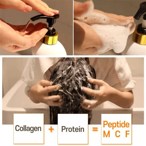 Elizavecca - CER-100 Collagen Coating Hair Muscle Shampoo 500ml/16.9 Fl ...