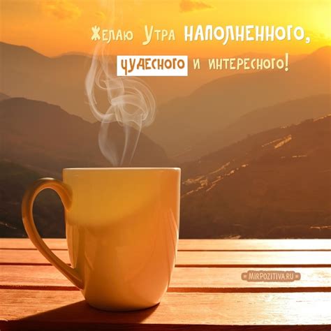 Красивые картинки с приколом | | Drasler