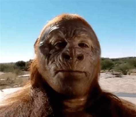 Proctology : r/Monke