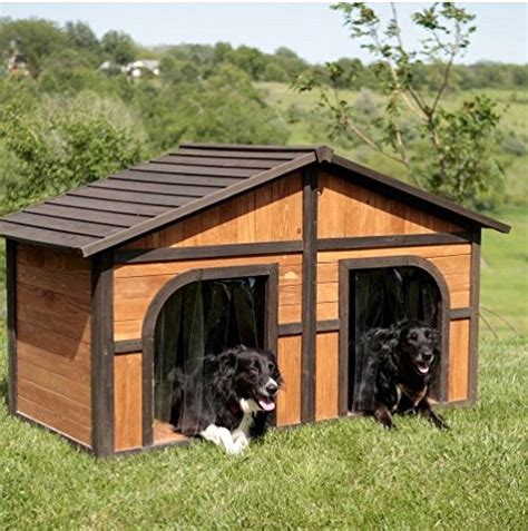 A Guide To Finding The Best Dog Houses For Large Dogs