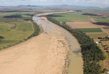 protecting  fitzroy river turtle greening australia greening