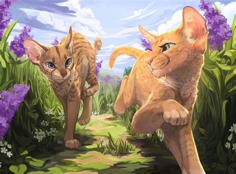 Warrior Cats Fan Art Warrior Cat Drawings Anime Warri - vrogue.co