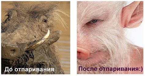 "Отпариватель" для лица