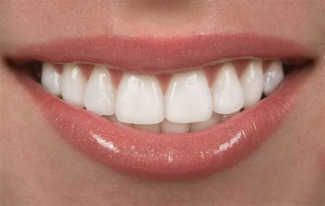 interesting facts   teeth   didnt  infographic