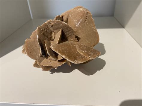 Large African Desert Rose From the Sahara Desert, Fossil / Fossils ...