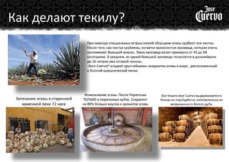 Сколько градусов в текиле