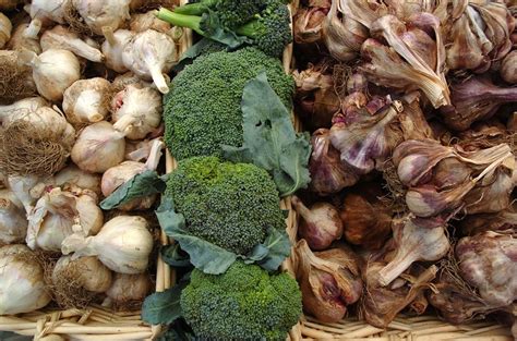 Vegetable Medley Free Photo Download | FreeImages