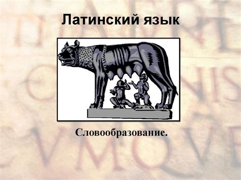 Латинский язык. Словообразование - презентация онлайн