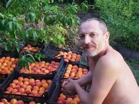 Персик Редхейвен Урожай - YouTube