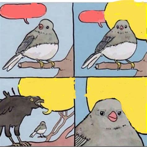 birb Blank Template - Imgflip