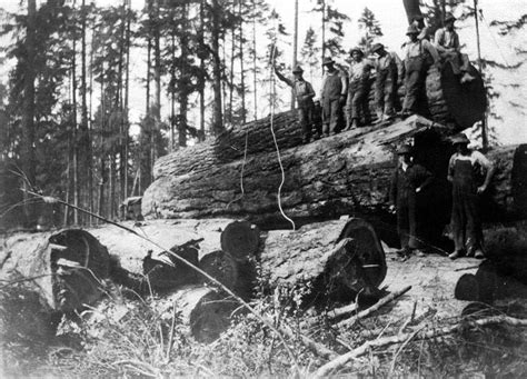 logging  key peninsula historical society museum