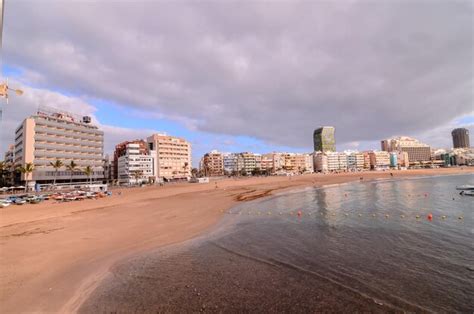 Premium Photo | Picture view of a tropical beach near the city