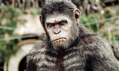 Caesar Planet Of The Apes Wallpapers - Wallpaper Cave