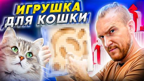 Изготовление игрушки для кота с помощью лазерной резки. Изделия на ...