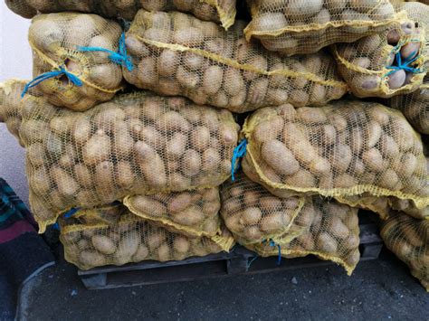 Продавам Картофи – АгроБорса | Agri.BG