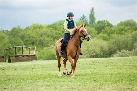 Riding during lirr peak hours is surprisingly faster with the new trains