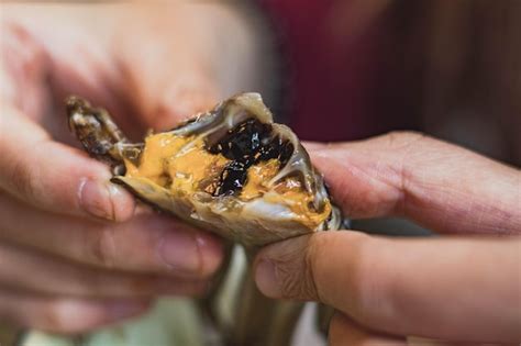 Premium Photo | Chinese zhejiang cuisine