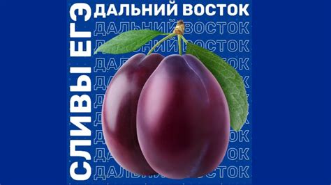 Открытый вебинар: разборы ЕГЭ из Дальнего Востока - YouTube