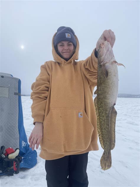 83 best Burbot images on Pholder | Fishing, Ice Fishing and Fishing Alberta