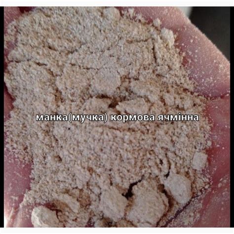 Продам Манку Кормову Ячмінну, купити манку Кормову Ячмінну — Agro-Ukraine