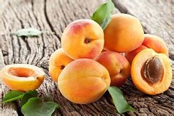 Zarzar – Pomi fructiferi Botosani