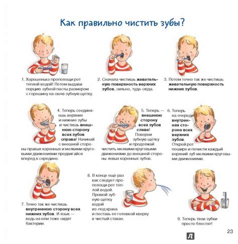 Зубная книга. Все о твоих молочных зубах - Радюнц Ивона - Издательство ...