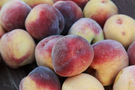 Fresh Picked Fuzzy Peaches Gathered on a Table Stock Image - Image of ...