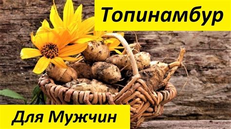 Топинамбур - Полезные Свойства. Земляная Груша. Польза и Вред - YouTube