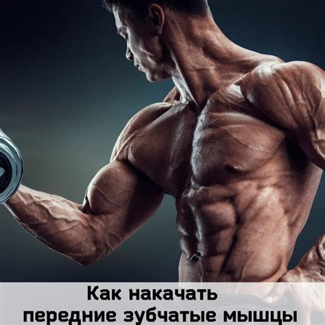 Как накачать передние зубчатые мышцы