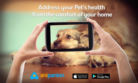 offering proheart faithful friends veterinary clinic