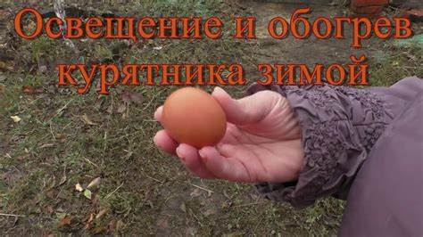 Содержание кур зимой. Обогрев и освещение курятника зимой. - YouTube