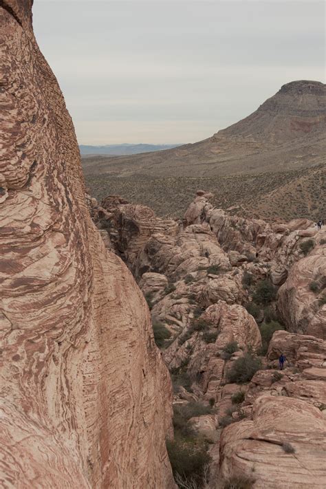 Elevation of Las Vegas, NV, USA - MAPLOGS