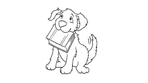 Собака с книгой - YouTube