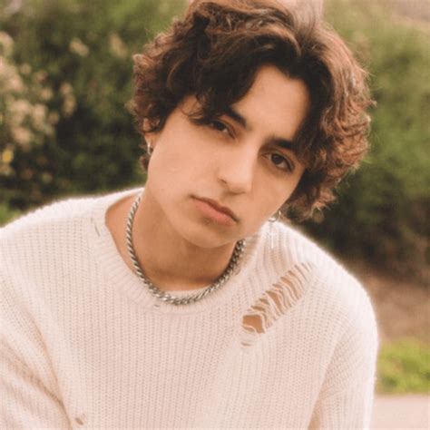 david lee bio birthday age video cameo