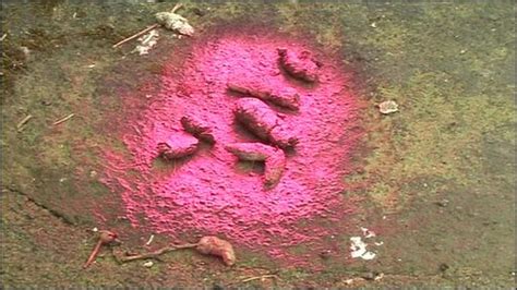 Britain's pink-painted poo aims to shame irresponsible dog owners ...