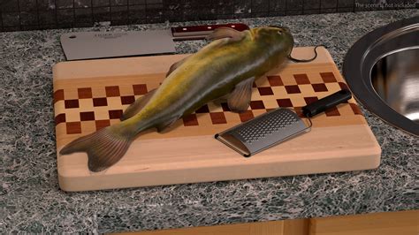 Channel Catfish Ictalurus Punctatus Rigged 3D Model $99 - .max - Free3D