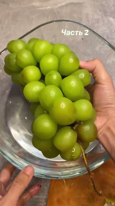 Корейский виноград 🍇 Көбіңіз дәмі қалай деп сұрап жатыр екенсіздер,дәмі ...