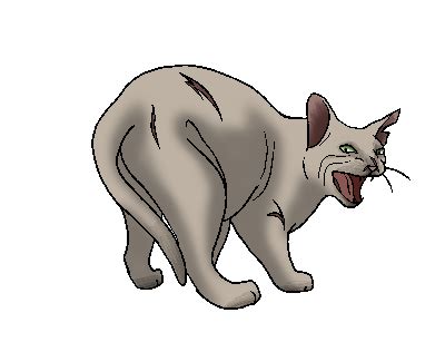 arvy quotev blossomclan wiki fandom