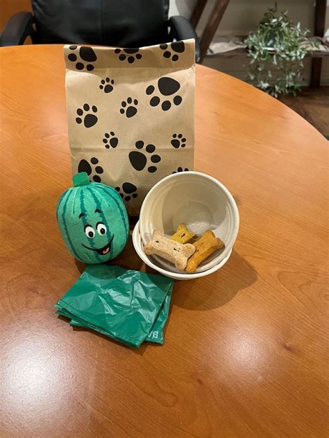 Pet-Friendly Lodging in Cambria CA - Cambria Pines Lodge