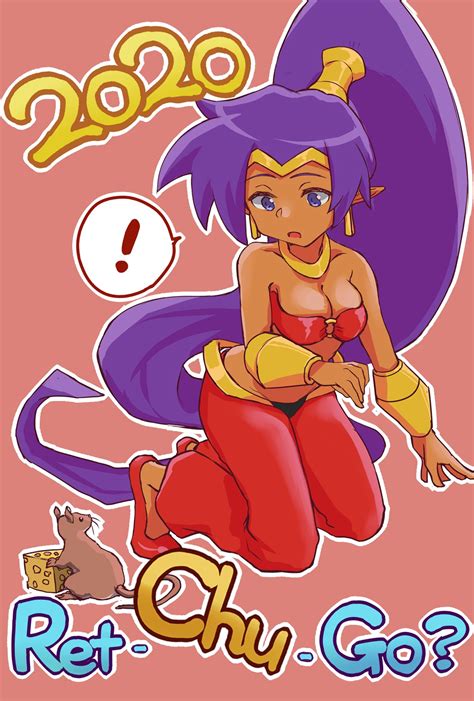Shantae (Character) Image by Tomei000 #3140428 - Zerochan Anime Image Board